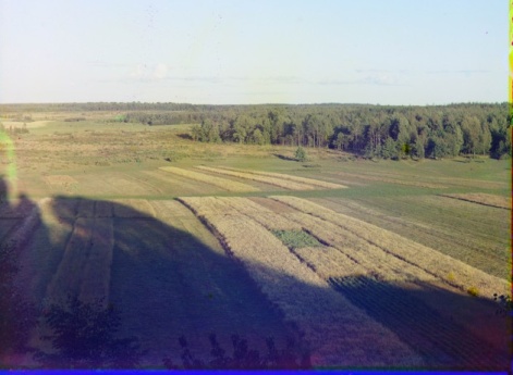 Утицкий лес и поля с колокольни Спасо-Бородинского монастыря.