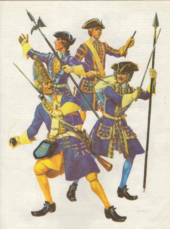 Полки Швеции