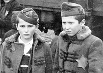 Национальная политика Королевства Венгрии во время Второй мировой войны