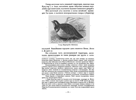 Улар (Megaloperdix thibetanus).