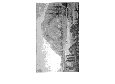 Вид селения купца Шелехова на острове  Кадьяк.