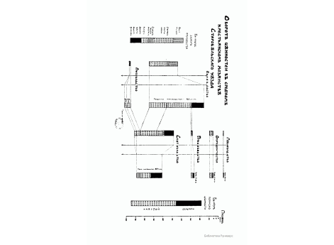 Диаграмма оборота ценностей в среднем крестьянском хозяйстве Старобельского уезда.