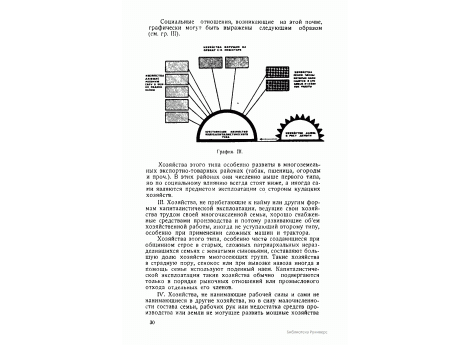 График III. Социальные отношения между крестьянскими хозяйствами при наличие хозяйства полукапиталистического типа.