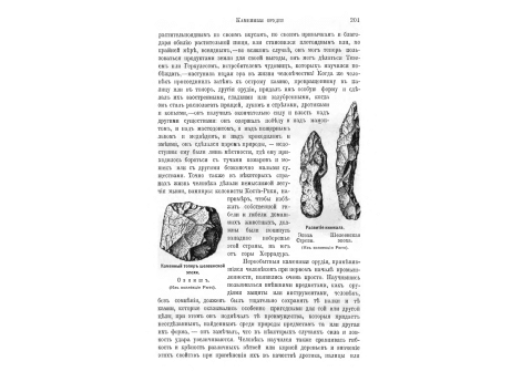 Цыганский табор у въезда в деревню, на юге Франции