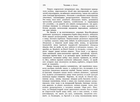 Корова с метками и узорами на коже.