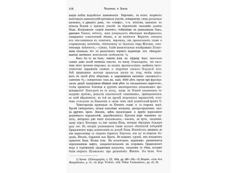 Священный ибис.