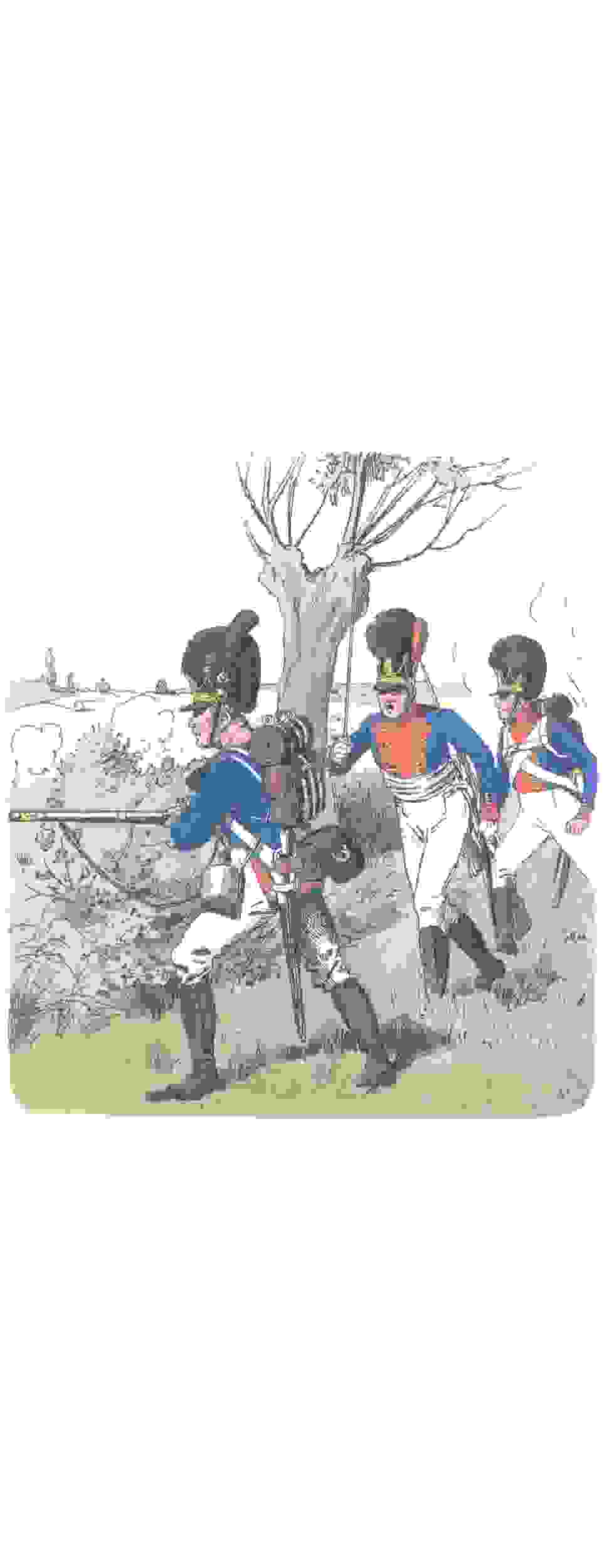 Баварская пехота (1809)