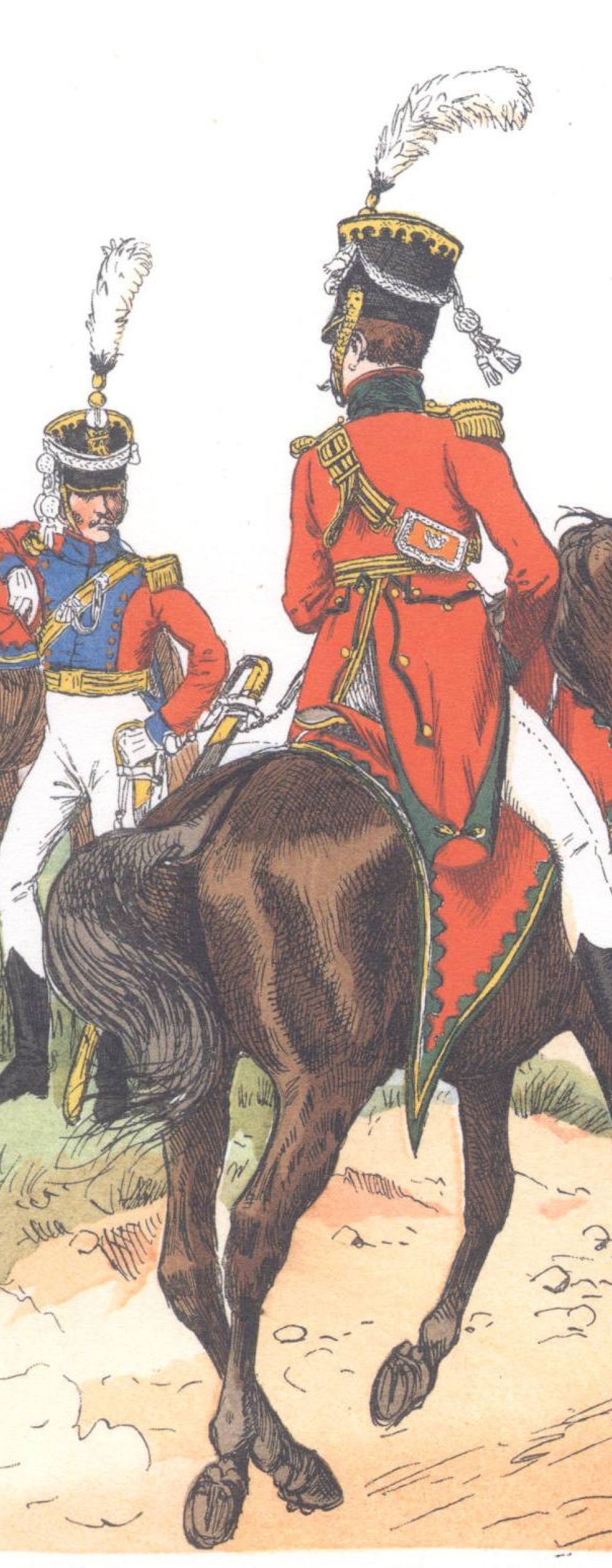 Саксония. Шеволежерские полки (1810)