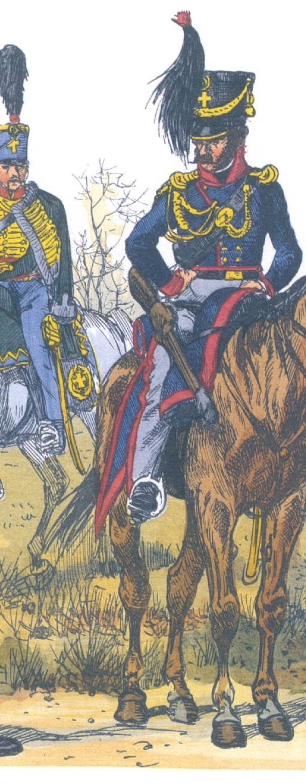 Саксония. Ландвер (1813)