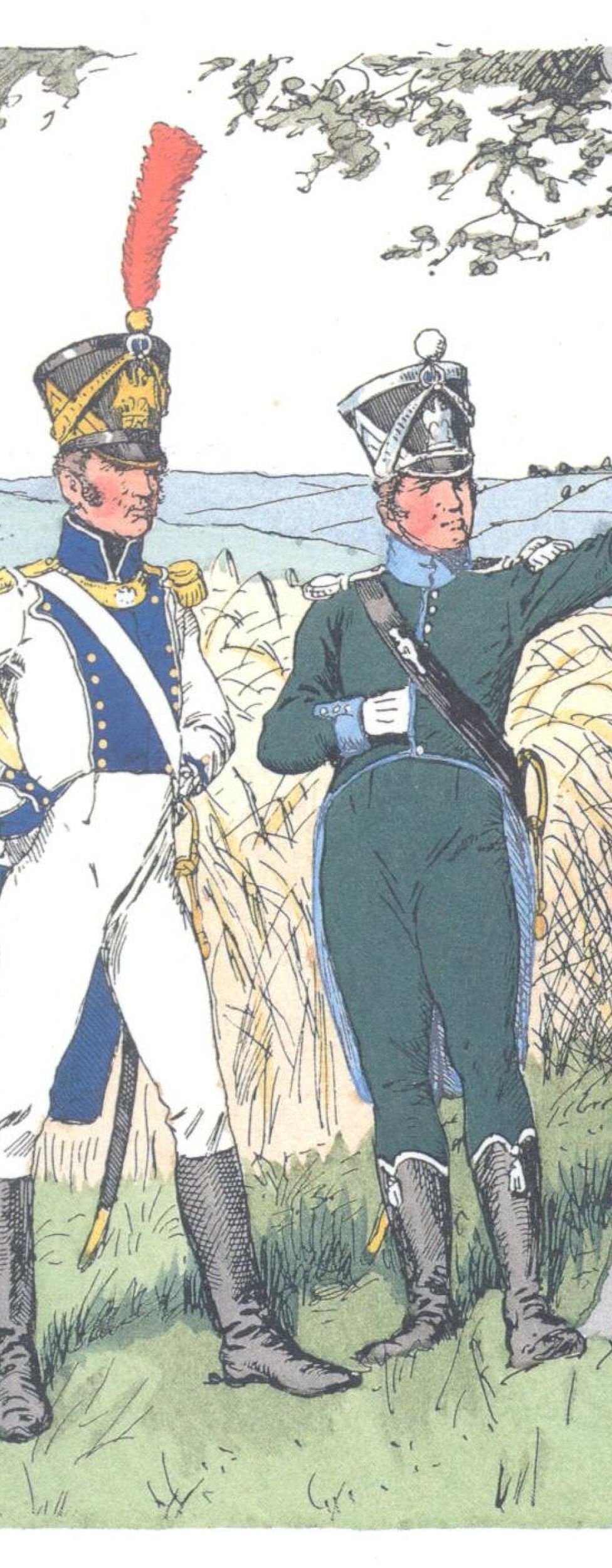 Вестфальская пехота (1812)