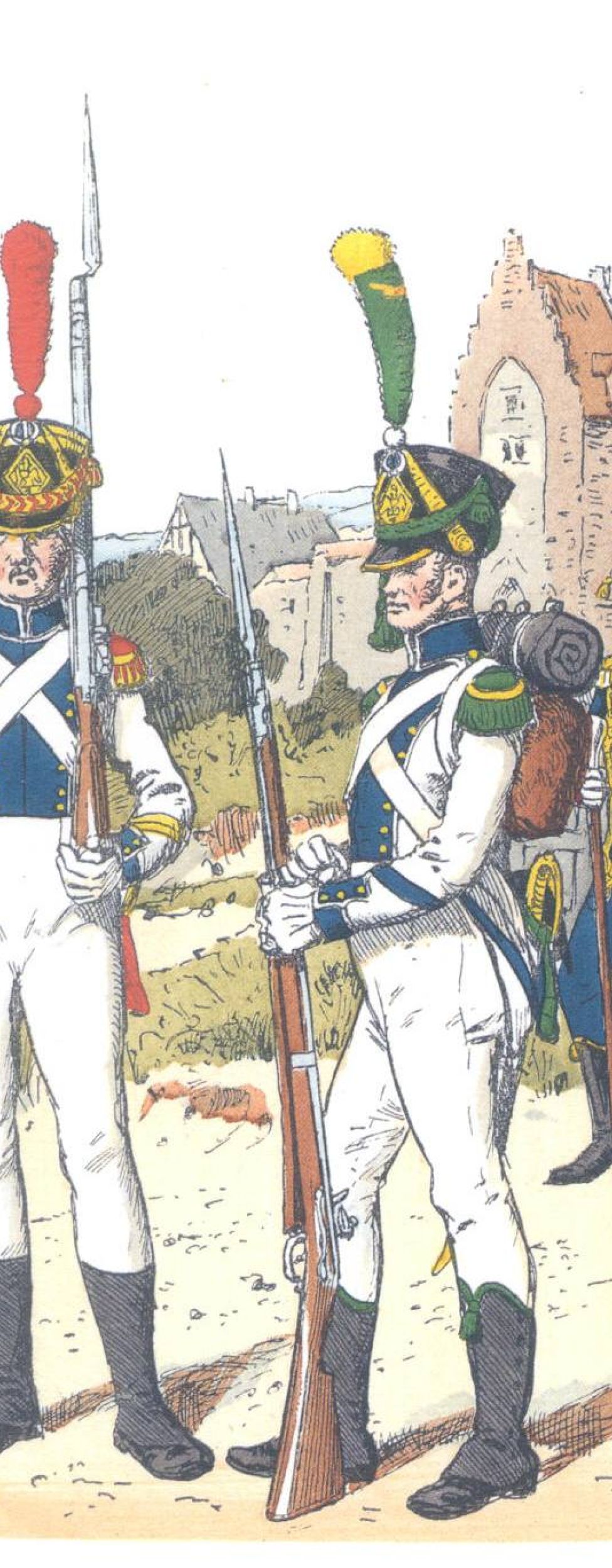 Вестфальская линейная пехота (1812)