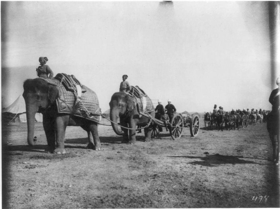 Слоны в качестве перевозчиков артиллерийских орудий