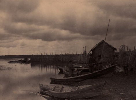 Берег озера Пено у деревни Гришино.