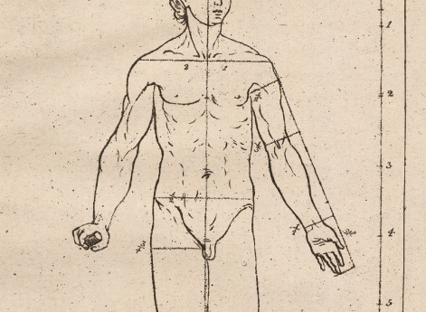 Как рисовать все тело человека. Иллюстрация к 10-му уроку учебника рисования XVIII века