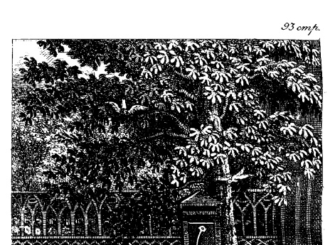 Кормление птиц. Иллюстрация к рассказу «Жесткая постель»