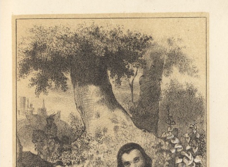 Амио. Иллюстрация в книге