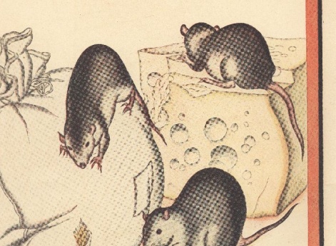 Иллюстрация в книге