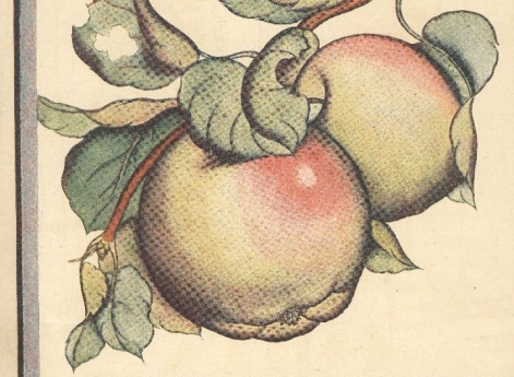 Иллюстрация в книге