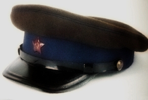  Сущность евразийской теории следующая...