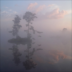 В сне земном мы тени, тени...