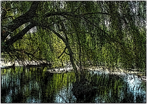 Там, где семьей столпились ивы...