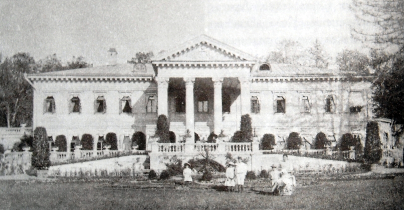 Владимиру Соловьеву Бог потому и послал смерть, чтобы лишить его возможности дать России метафизику