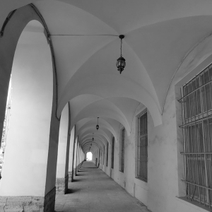 Принят Устав «Санкт-Петербургского философского общества»