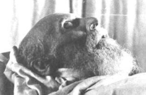 Окончил свой жизненный подвиг Николай Федорович Федоров