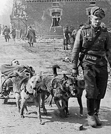 Философский факультет провел научную конференцию по психофизиологическим проблемам восстановления функций после военной травмы