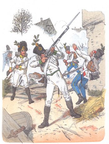 Австрийская пехота (1813)