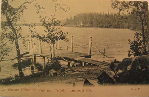 В Финляндии умер Г.В.Плеханов